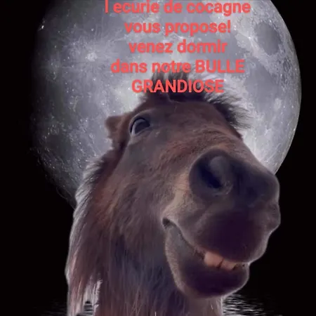 خيمة فخمة Dans Bulle La Tete Dans Les Etoiles *