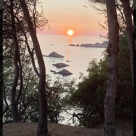 Luxuszelt Dans Bulle Grandiose, Avec Spa, La Tete Dans Les Etoiles