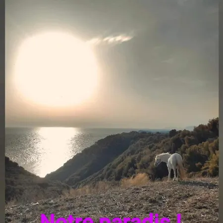 Luxuszelt Dans Bulle Grandiose, Avec Spa, La Tete Dans Les Etoiles