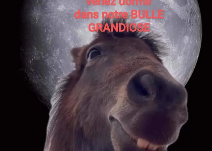 خيمة فخمة Dans Bulle Grandiose, Avec Spa, La Tete Dans Les Etoiles *